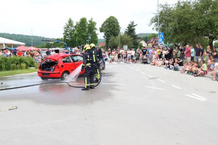 DAN ZAŠČITE IN REŠEVANJA 26 FOTO LJUBO VUKELIČ